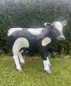Large Black & White Calf