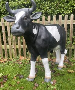 Large Black & White Cow