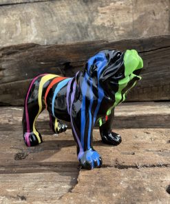 Small British Bulldog in Black with Splash Paint