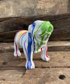 Small British Bulldog in White with Splash Paint