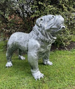 Large British Bulldog in Silver with Studded Collar
