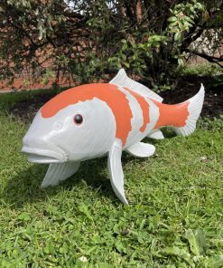 Koi Carp