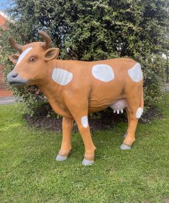 Large Brown & White Cow