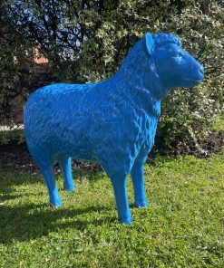 Sheep in Blue