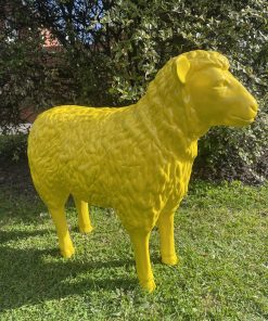Sheep in Yellow