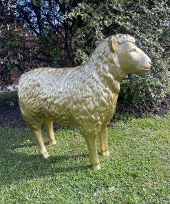 Sheep in Gold