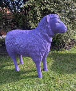 Sheep in Purple