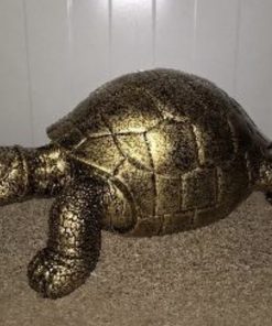 Tortoise in Antique Gold