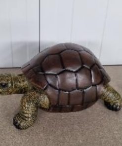Tortoise in Original Colour