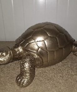 Tortoise in Gold