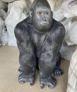 Large Gorilla Sitting On All Fours