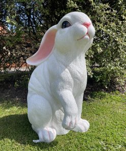 Large Rabbit