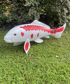 Koi Carp