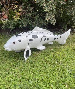 Koi Carp