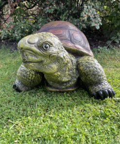 Tortoise Small