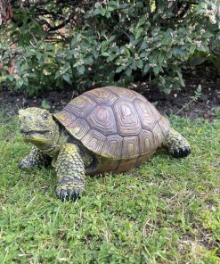 Tortoise Large