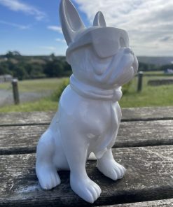 Small French Bulldog Wearing Glasses in White