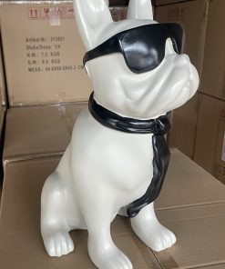 White French Bulldog in Sun Glasses