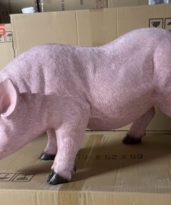 Pink Pig