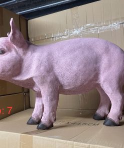 Pink Pig