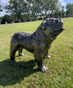 Large British Bulldog in Bronze