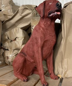 Red Labrador