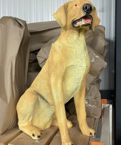 Yellow Labrador