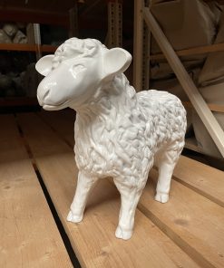 Small White Sheep