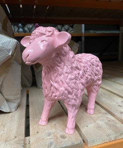 Small Pink Sheep