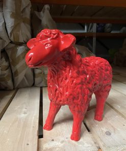 Small Red Sheep