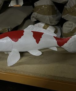 Koi Carp - Red and White 