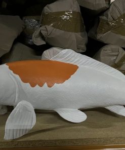 Koi Carp - White and Orange